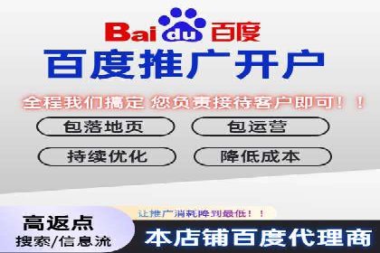 竞价排名案例：跨平台推广效果分析
